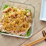 butashabu_negijouyu
